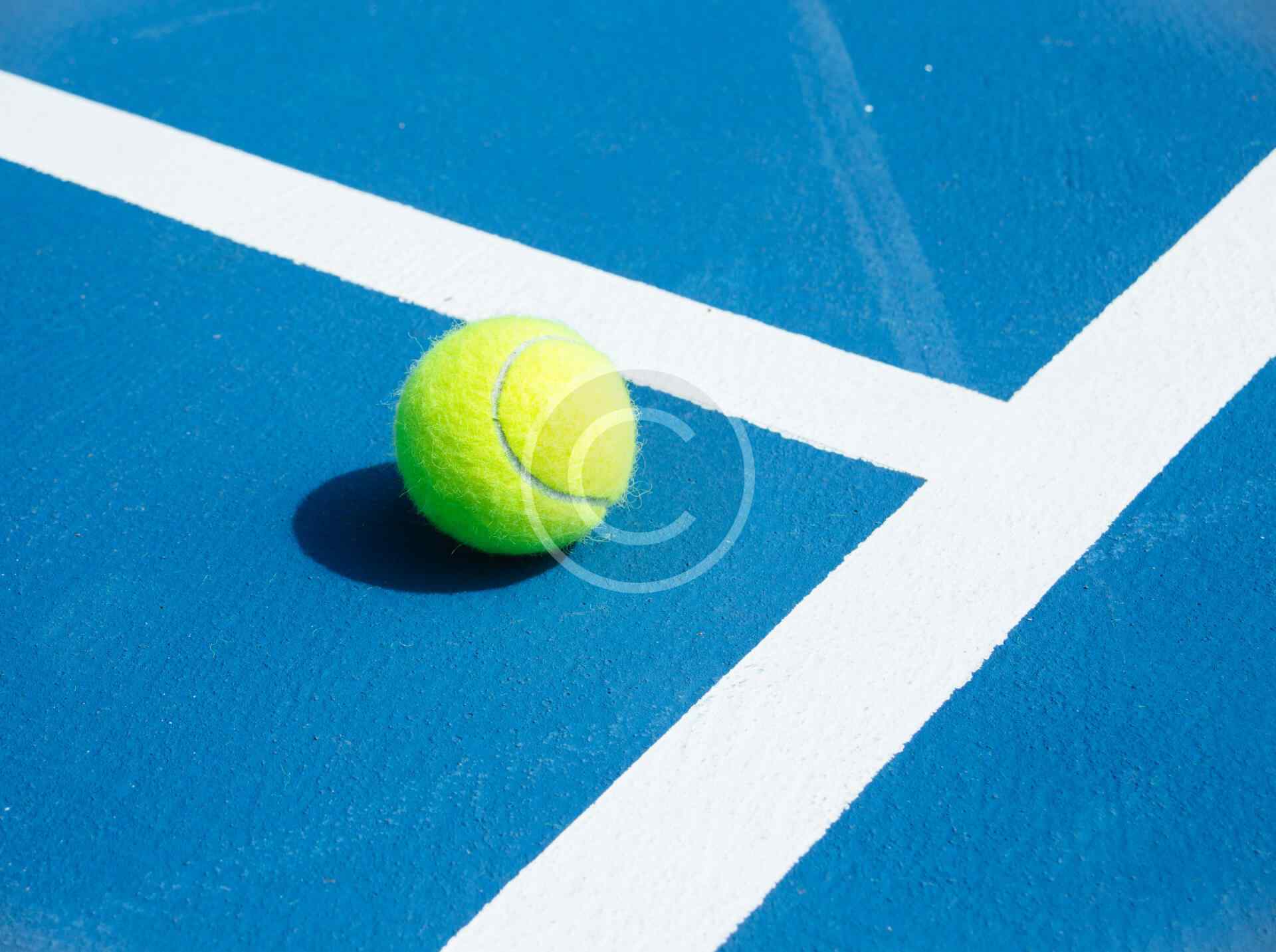 INTERMEDIATE MEMBERSHIP