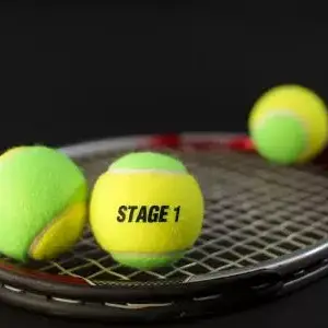 Green Dot - Satellite